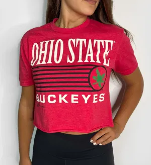 Ohio State Buckeyes Lines Crop